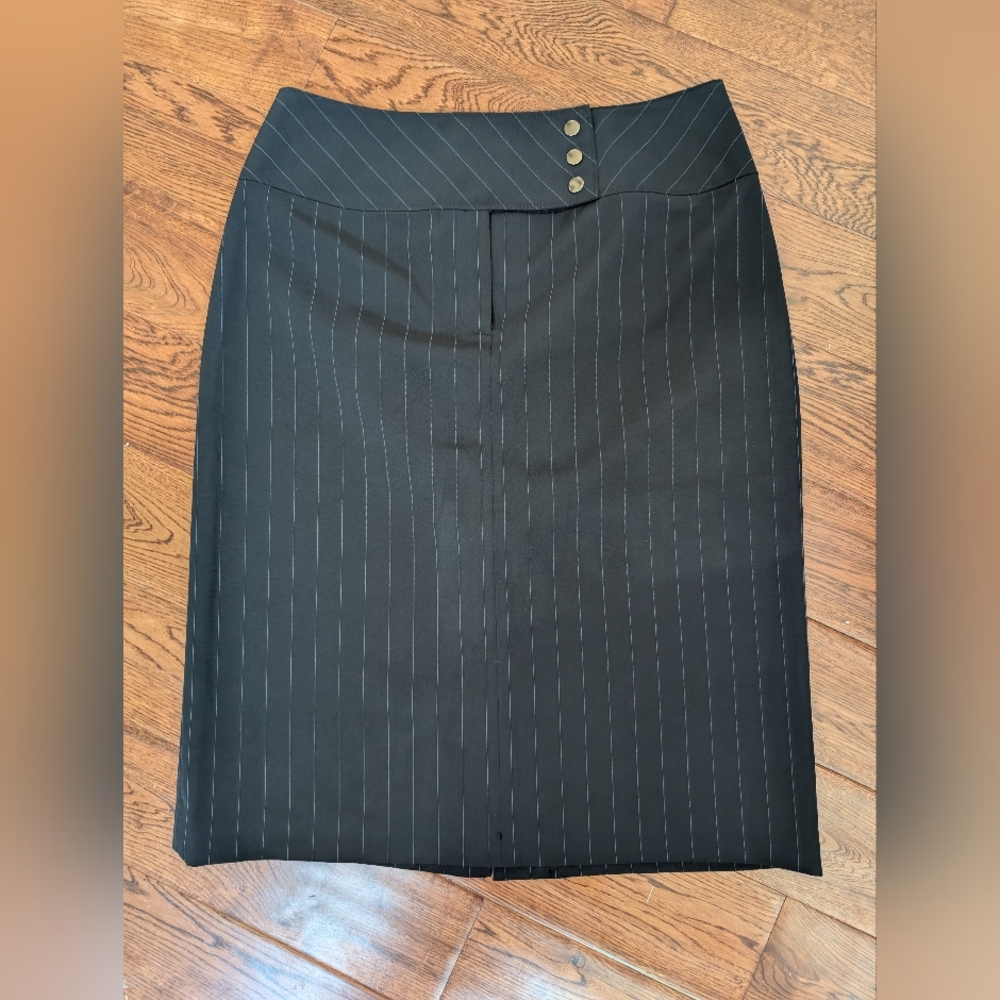 EUC Dalia Collection Pencil Work Pinstripe Navy & Light Blue Skirt Size 4